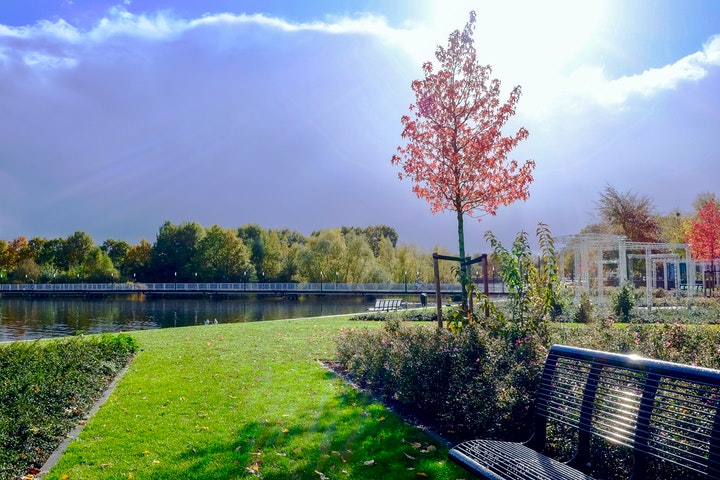 8 Landscaping Tips for Commercial Property Owners