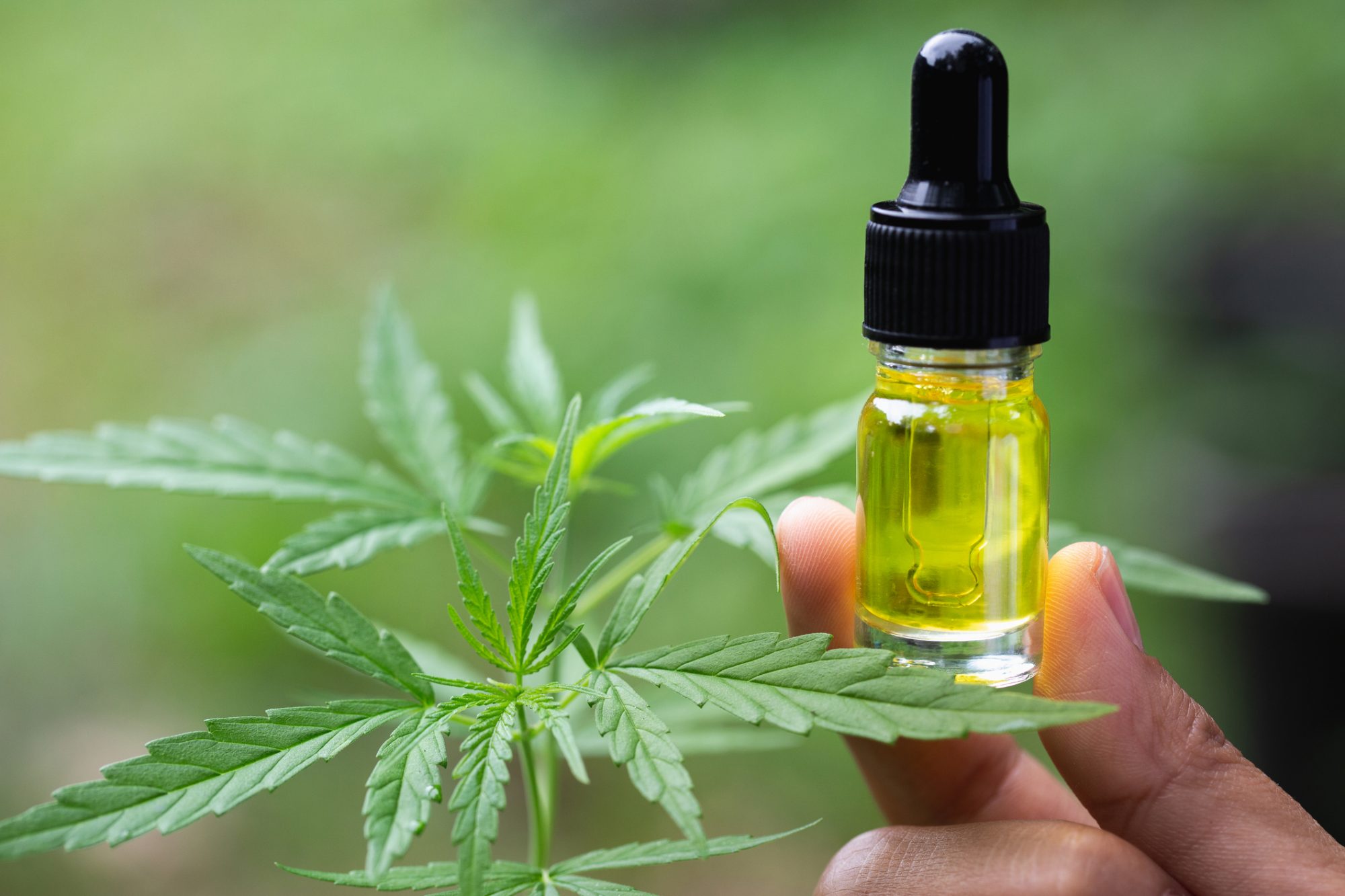 CBG Oil: Are the Benefits Better Than CBD?