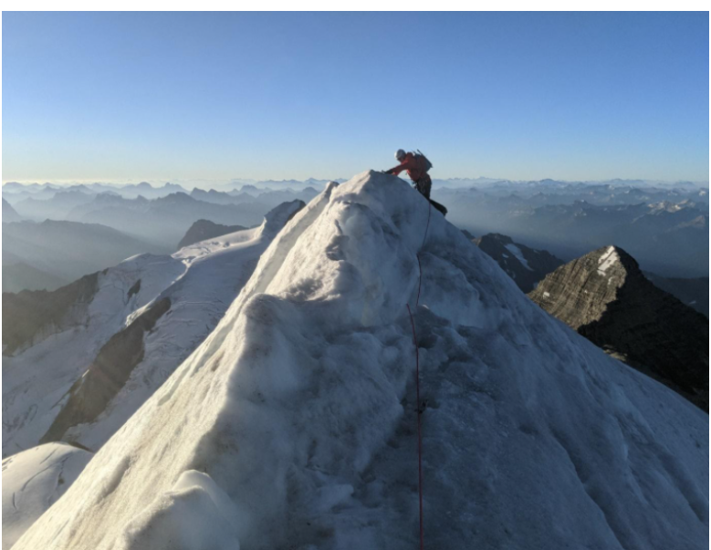 In business and sport, the difference between dreams and reality is persistence