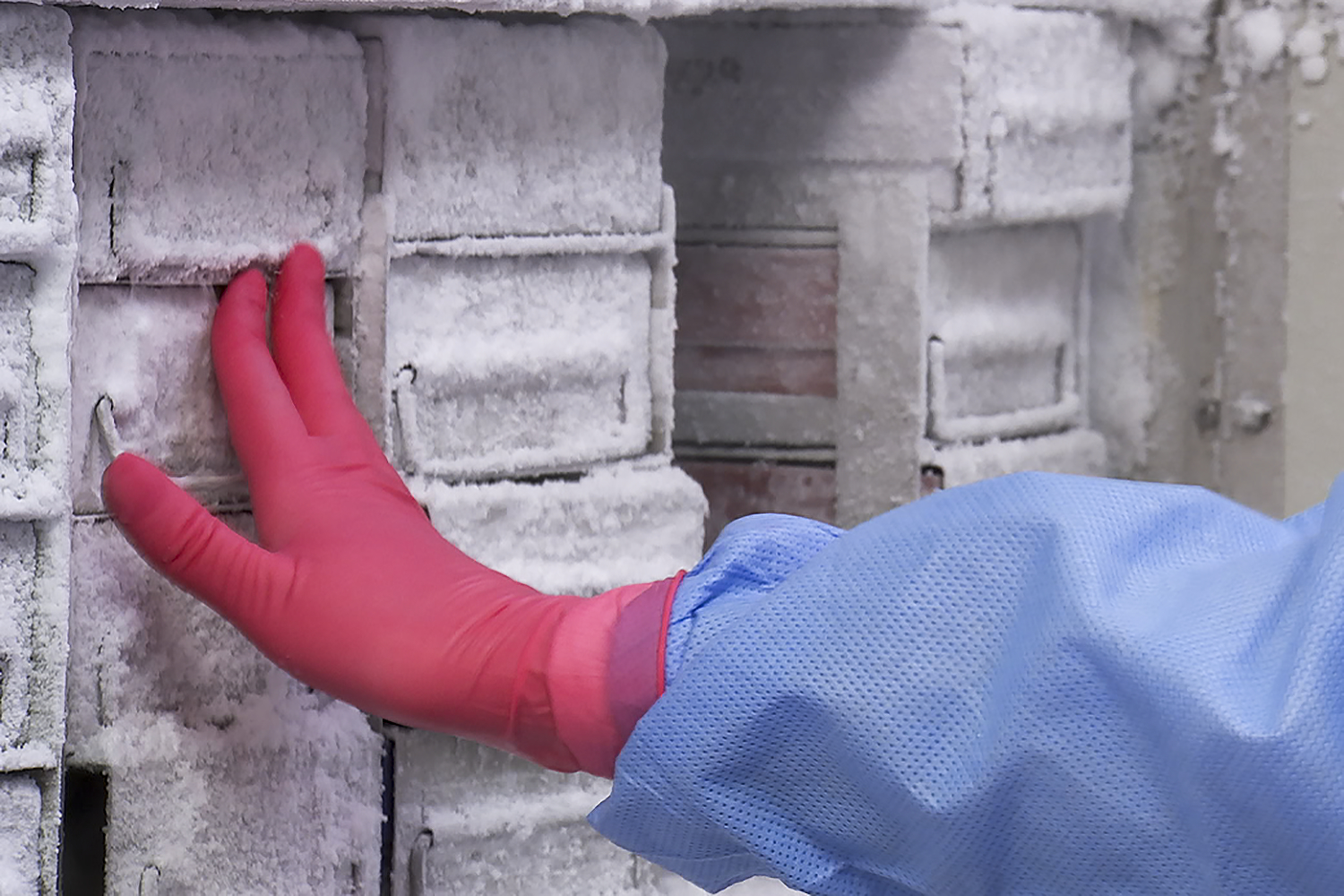 Freeze the Day: Why No Construction Cold Storage Containers Are the Future