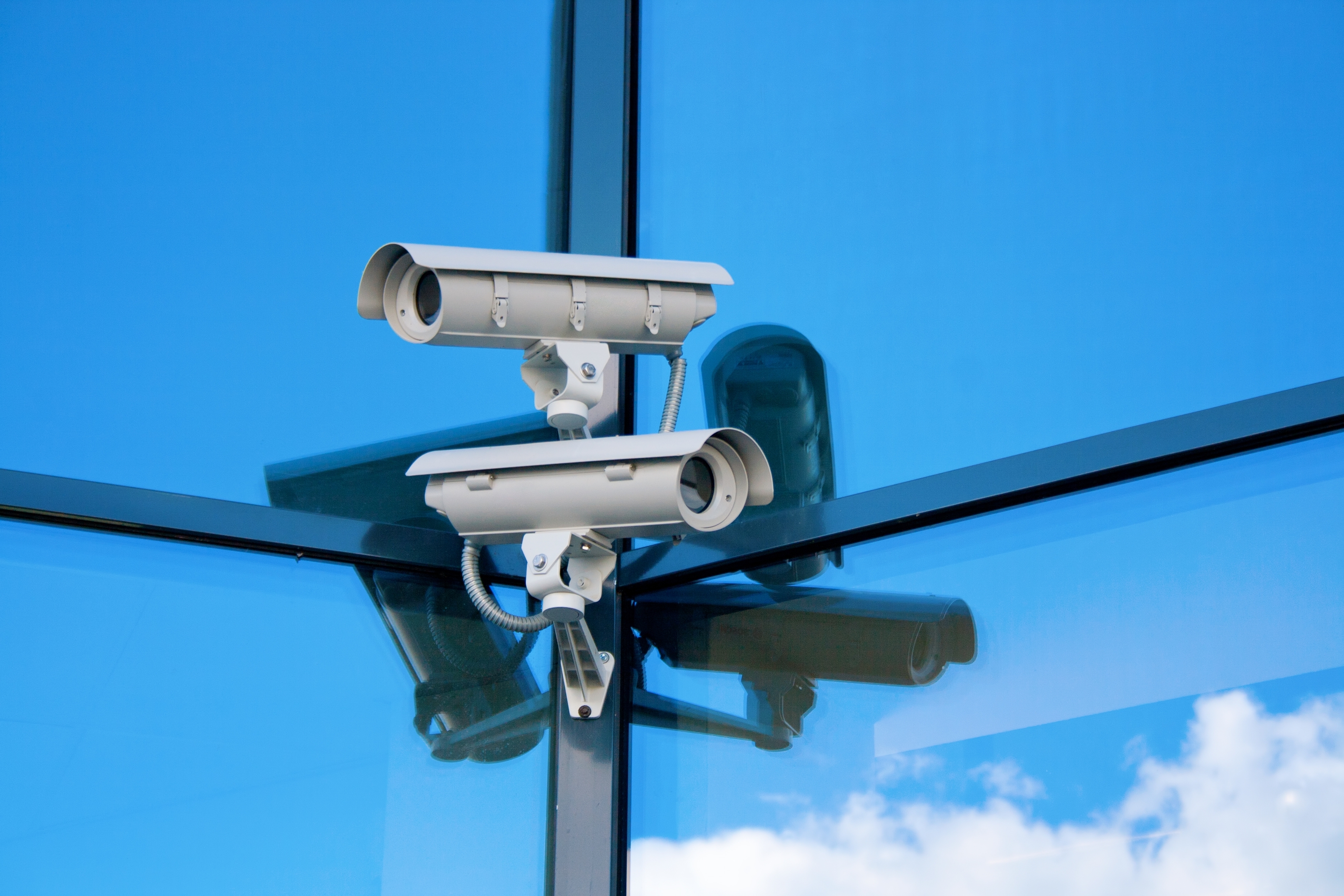 Do Custom Security Solutions Meet Your Business’s Unique Needs?