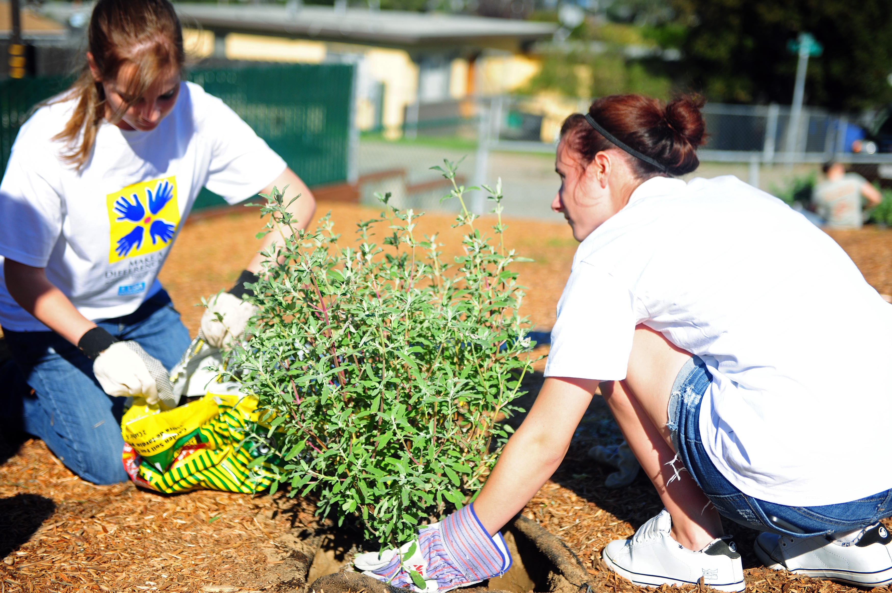 Empowering Change: A Guide for Philanthropists in the Modern World